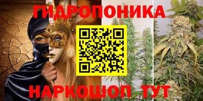 МДПВ Лесосибирск