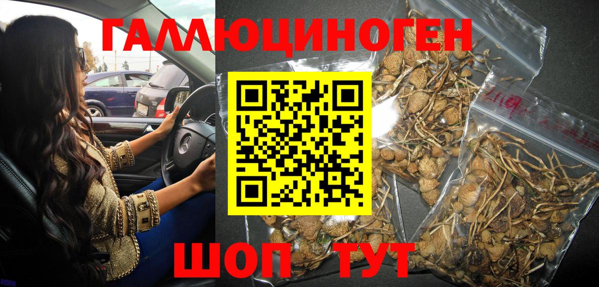 Галлюциногенные грибы мицелий  хочу наркоту  Чехов  Вход с VPN 